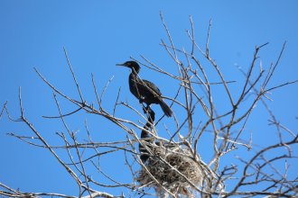 WhatsApp Image 2026-01-08 at 12.40.15.jpeg